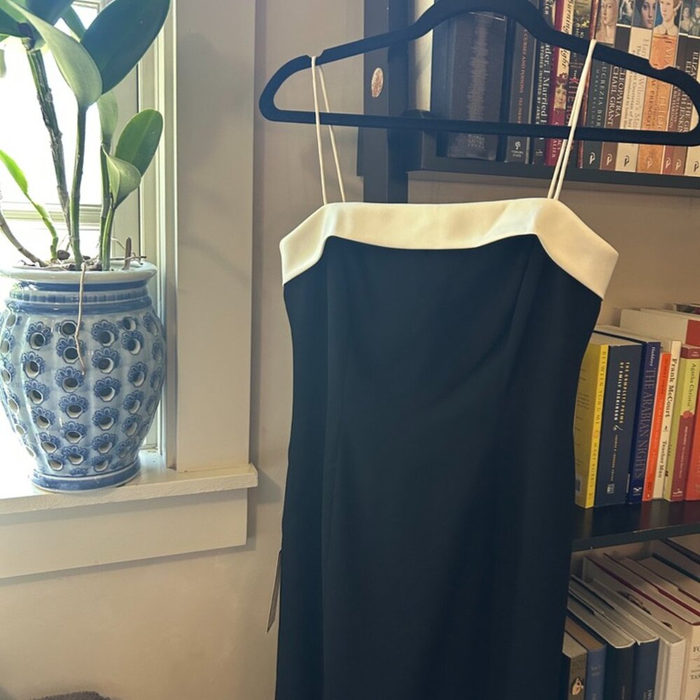 NWT Ann Taylor Black and White Cocktail Dress